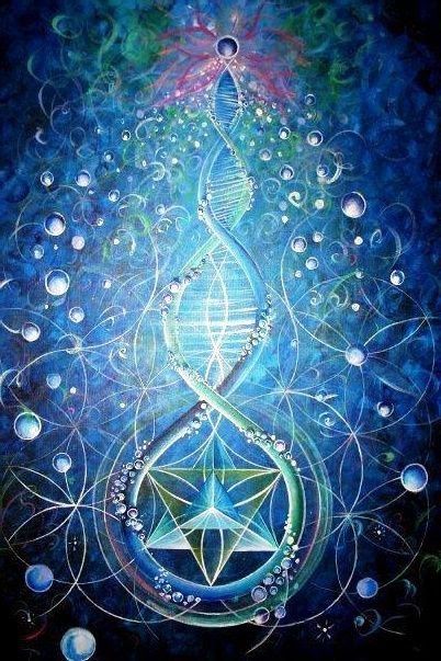 Enfermedades o Síntomas